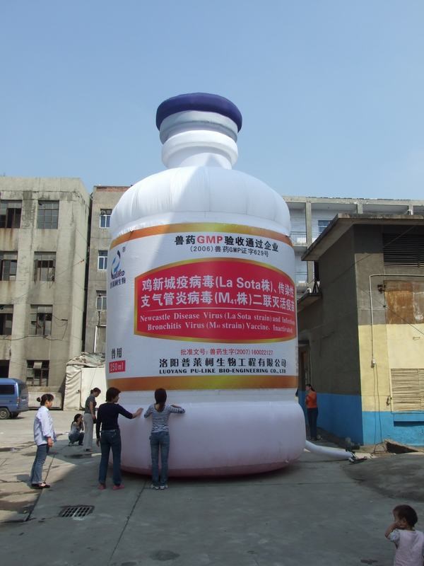 沧县广告宣传气模